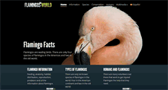 Desktop Screenshot of flamingos-world.com