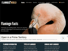 Tablet Screenshot of flamingos-world.com